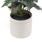 Artificial Begonia Plant In Decorative Bowl 30cm