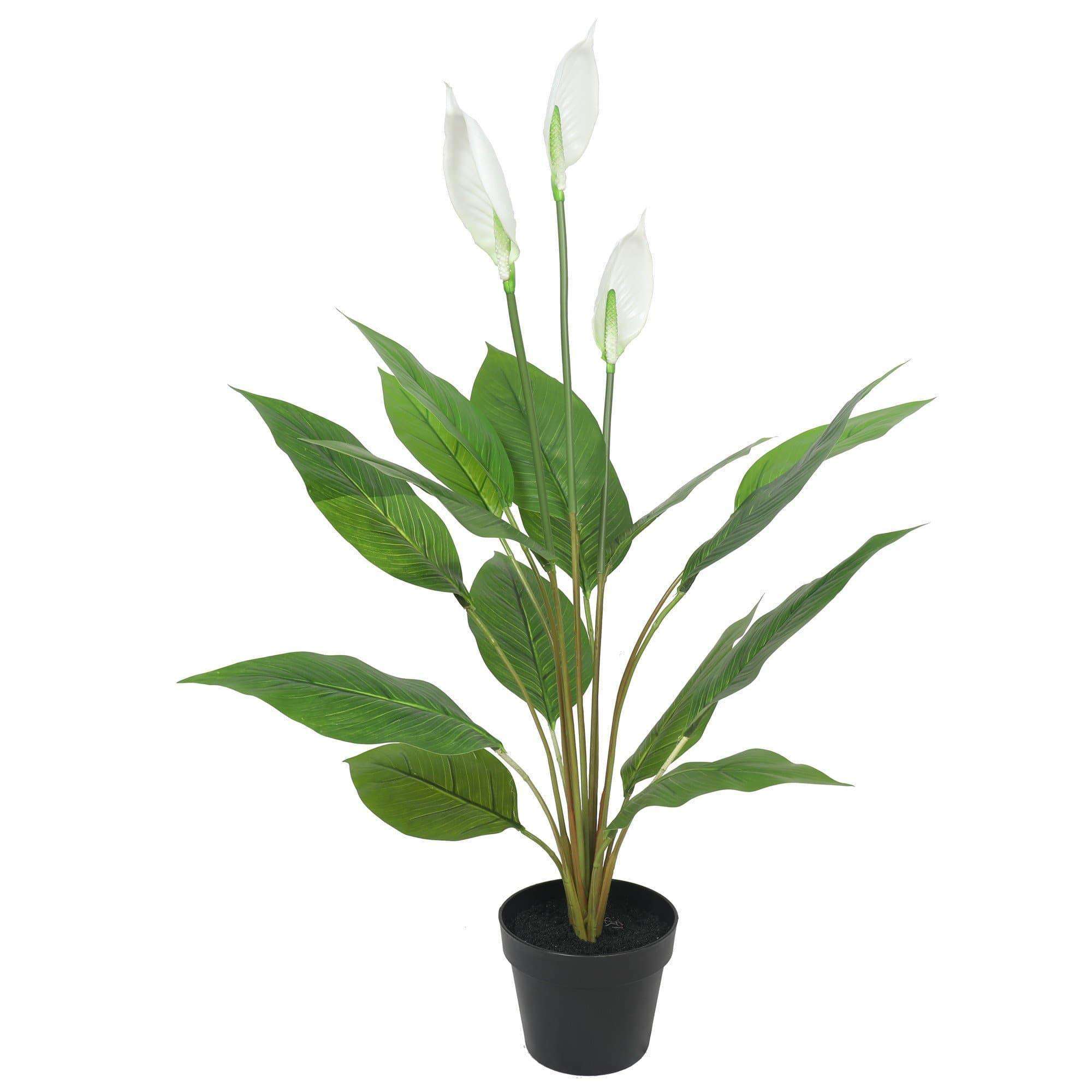 Artificial Flowering White Peace Lily / Calla Lily 95cm Main image