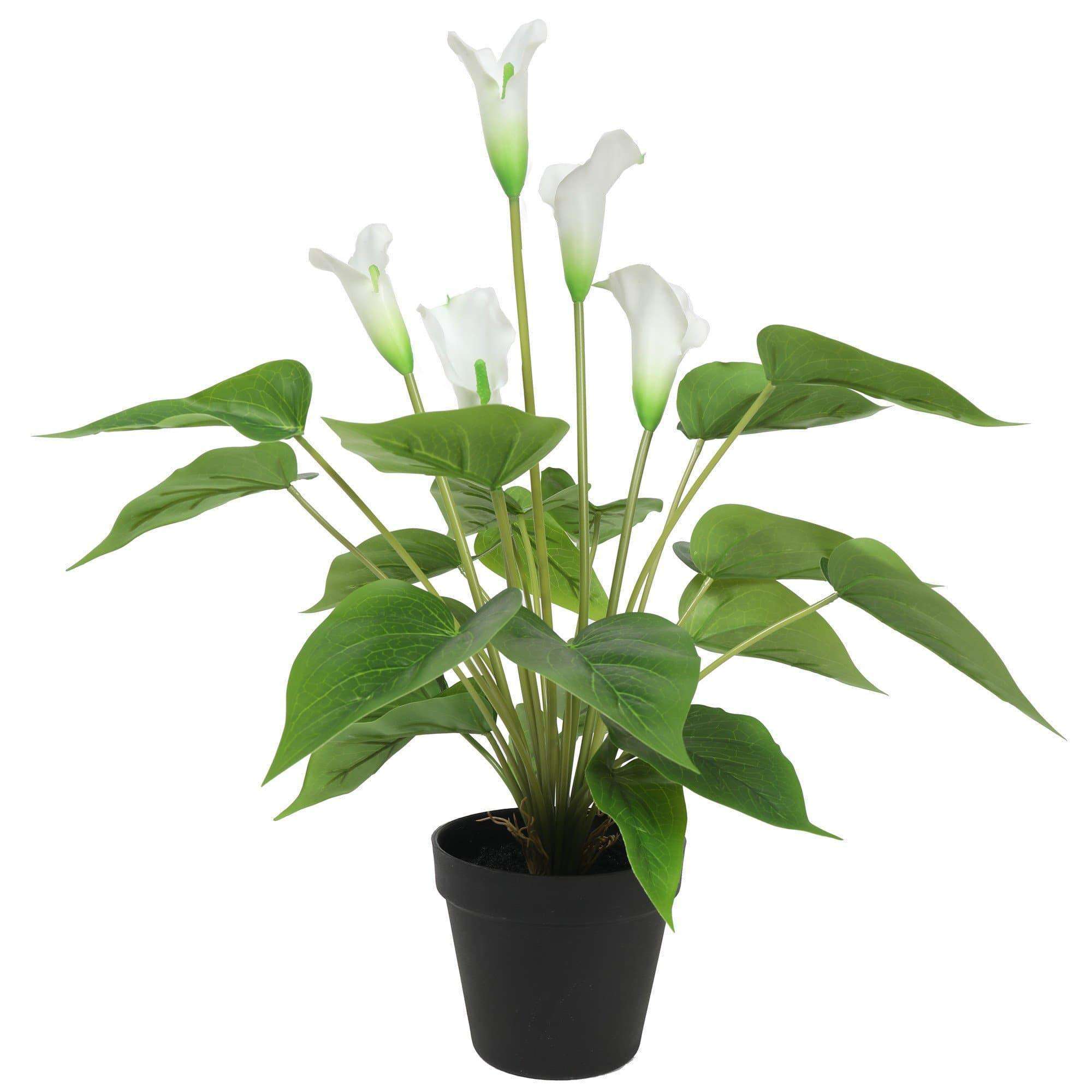 Artificial Flowering White Peace Lily / Calla Lily Plant 50cm Main image