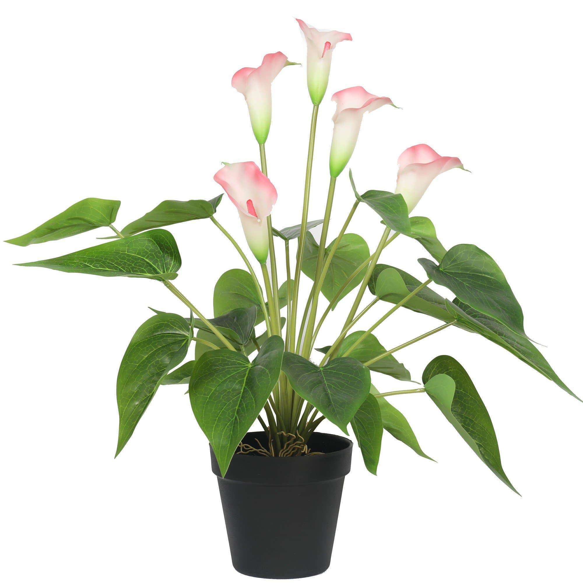 Artificial Flowering White & Pink Peace Lily / Calla Lily Plant 50cm Main image