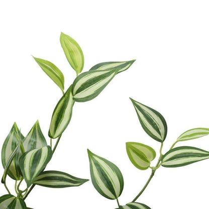 Artificial Hanging Plant - Mixed Philodendron Bush - 80cm