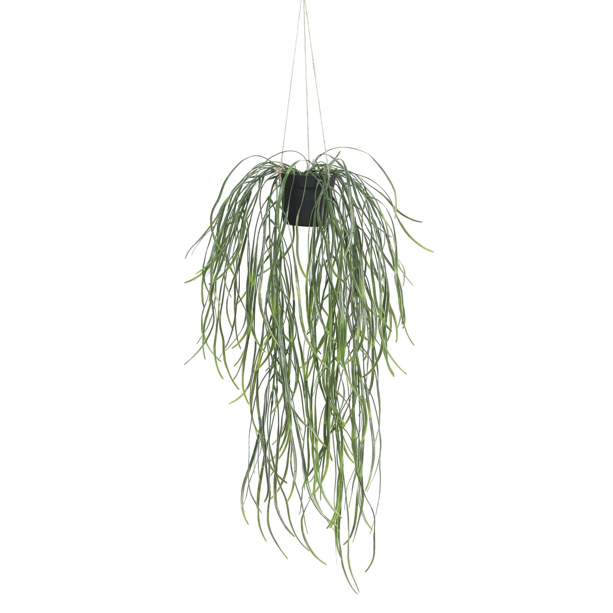 Artificial Hanging Potted Plant (Willow Leaf) 66cm UV Resistant Main image