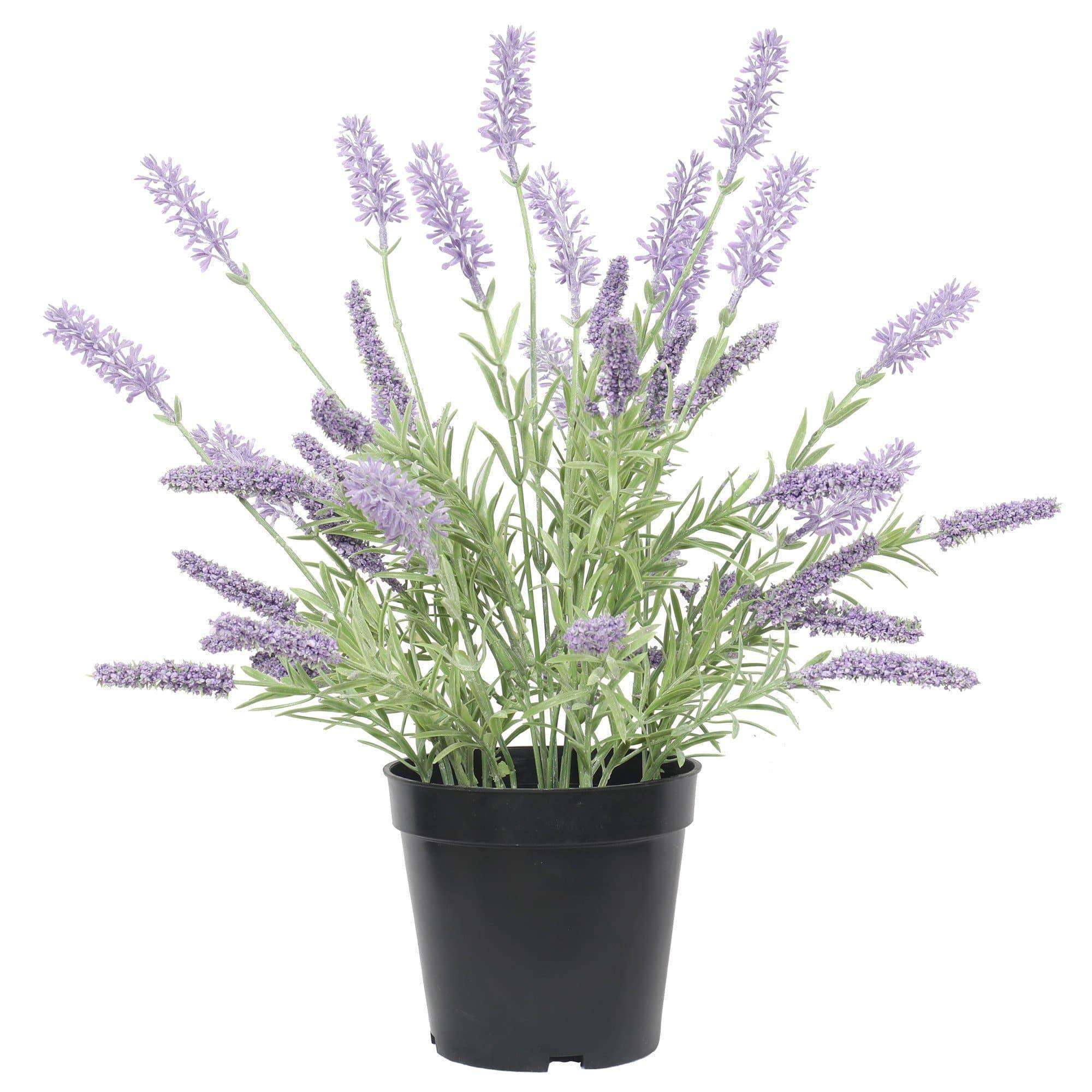 Artificial Lavender Plant in a Pot 40cm Main image