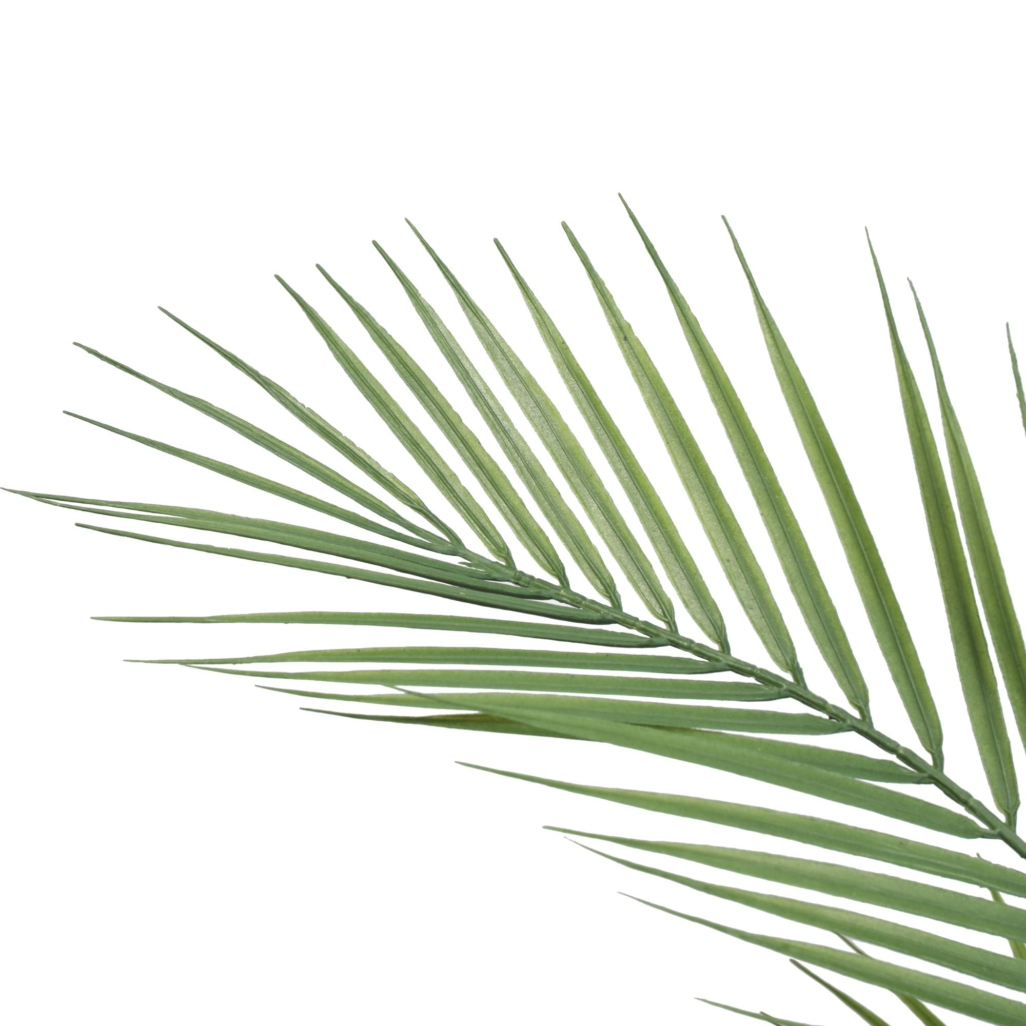 Artificial Phoenix Palm Plant 80cm Secondary image