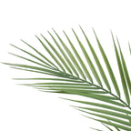 Artificial Phoenix Palm Plant 80cm