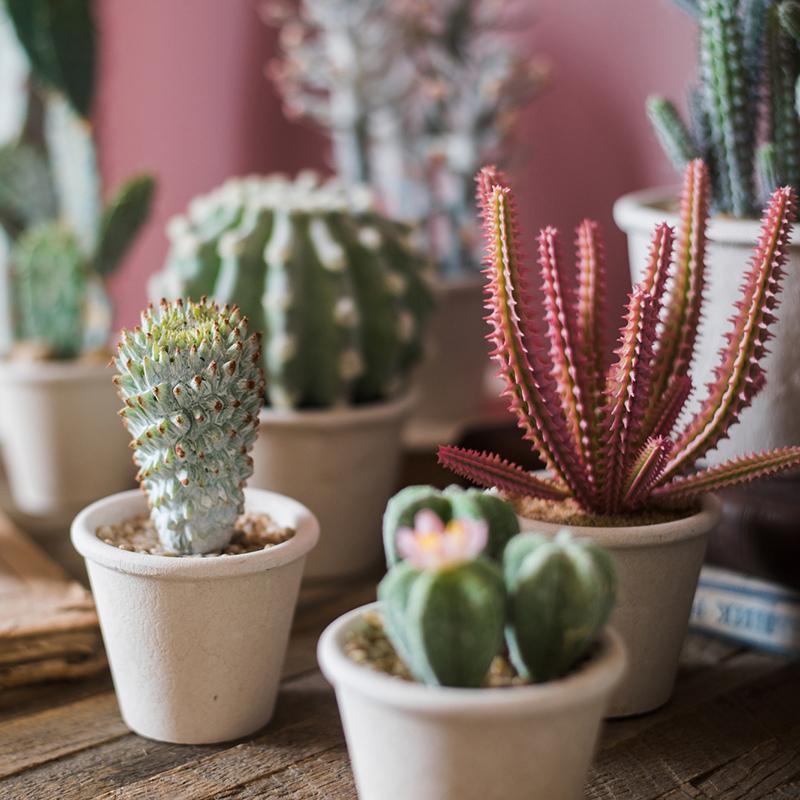 Artificial Faux Cactus Plant Bonsai Potted