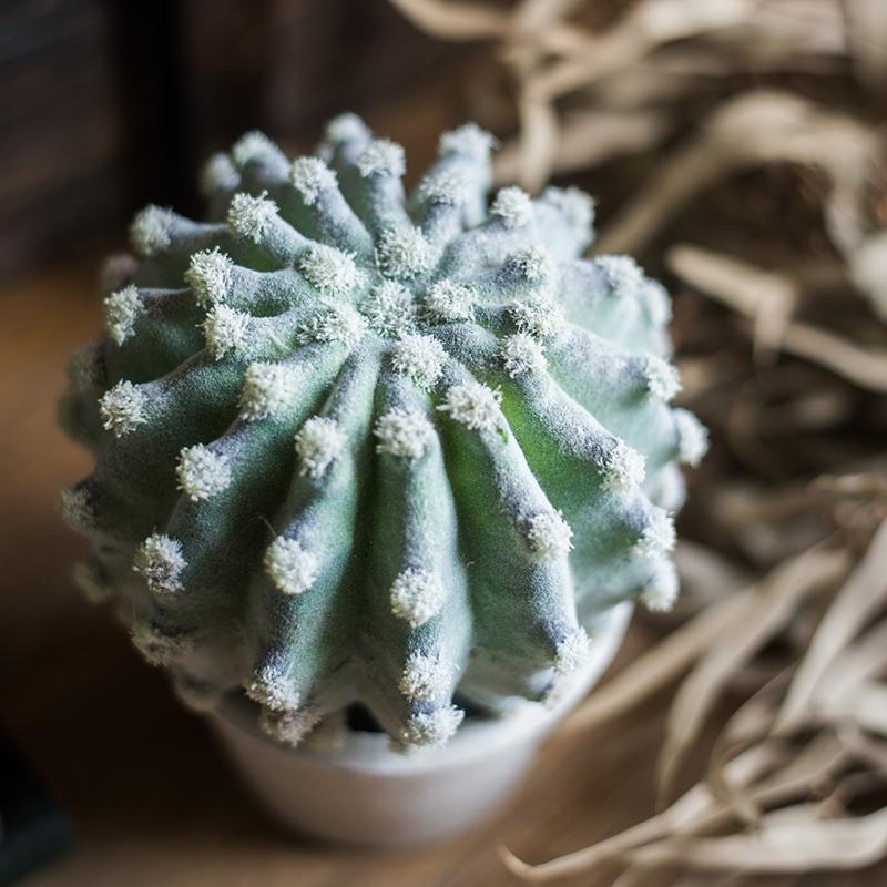 Artificial Faux Cactus Plant Bonsai Potted