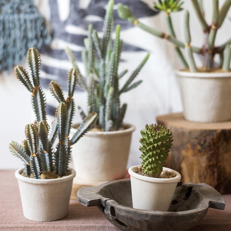 Artificial Faux Cactus Plant Bonsai Potted