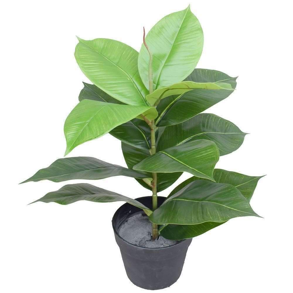 Artificial Potted Rubber Plant 55 cm Main image