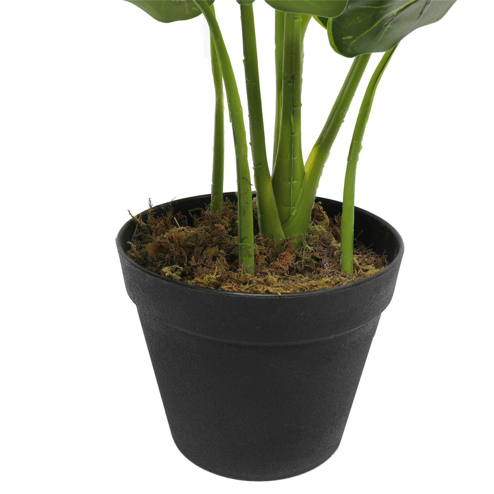 Artificial Potted Taro Plant / Elephant Ear 55cm Secondary image