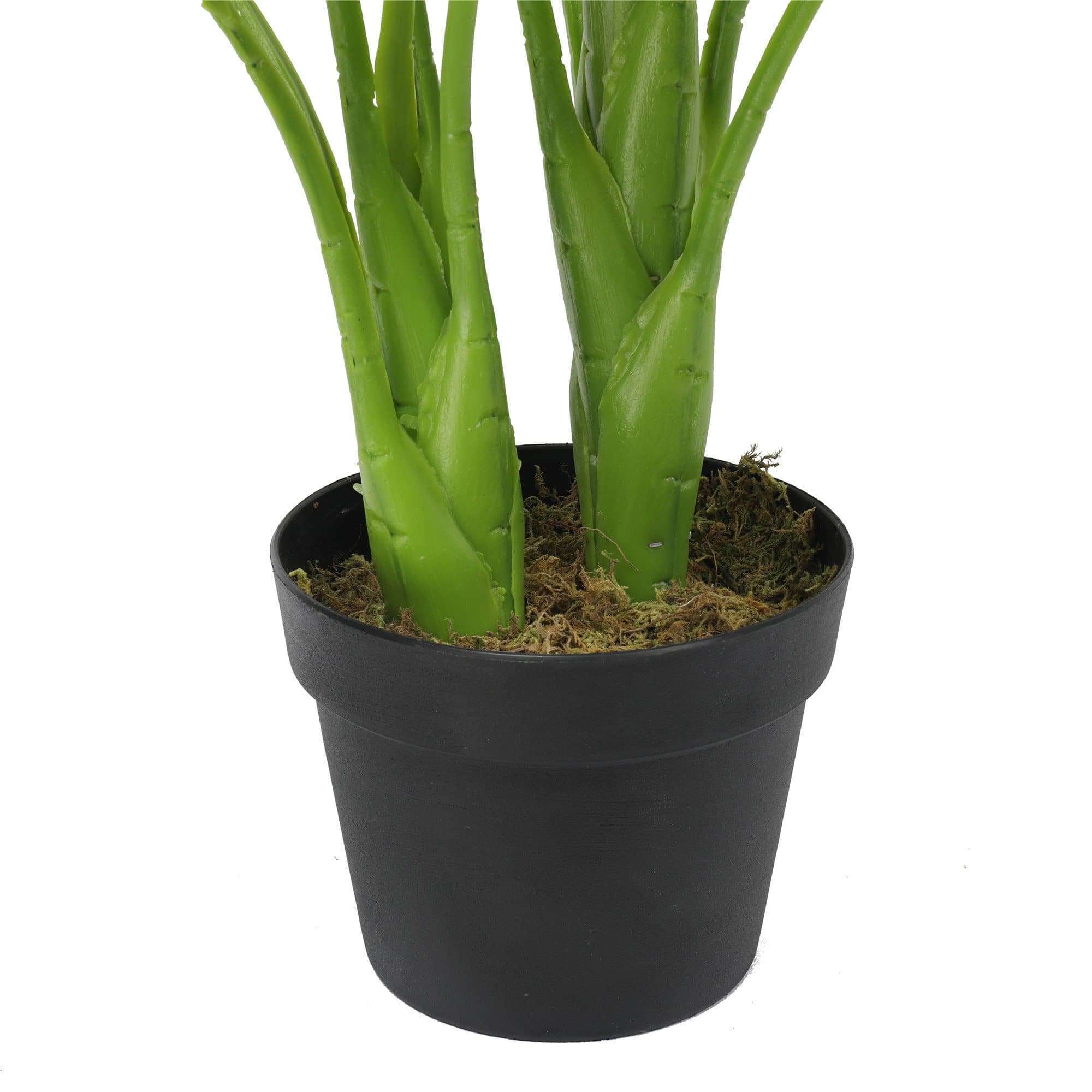 Artificial Potted Taro Plant / Elephant Ear 70cm Secondary image