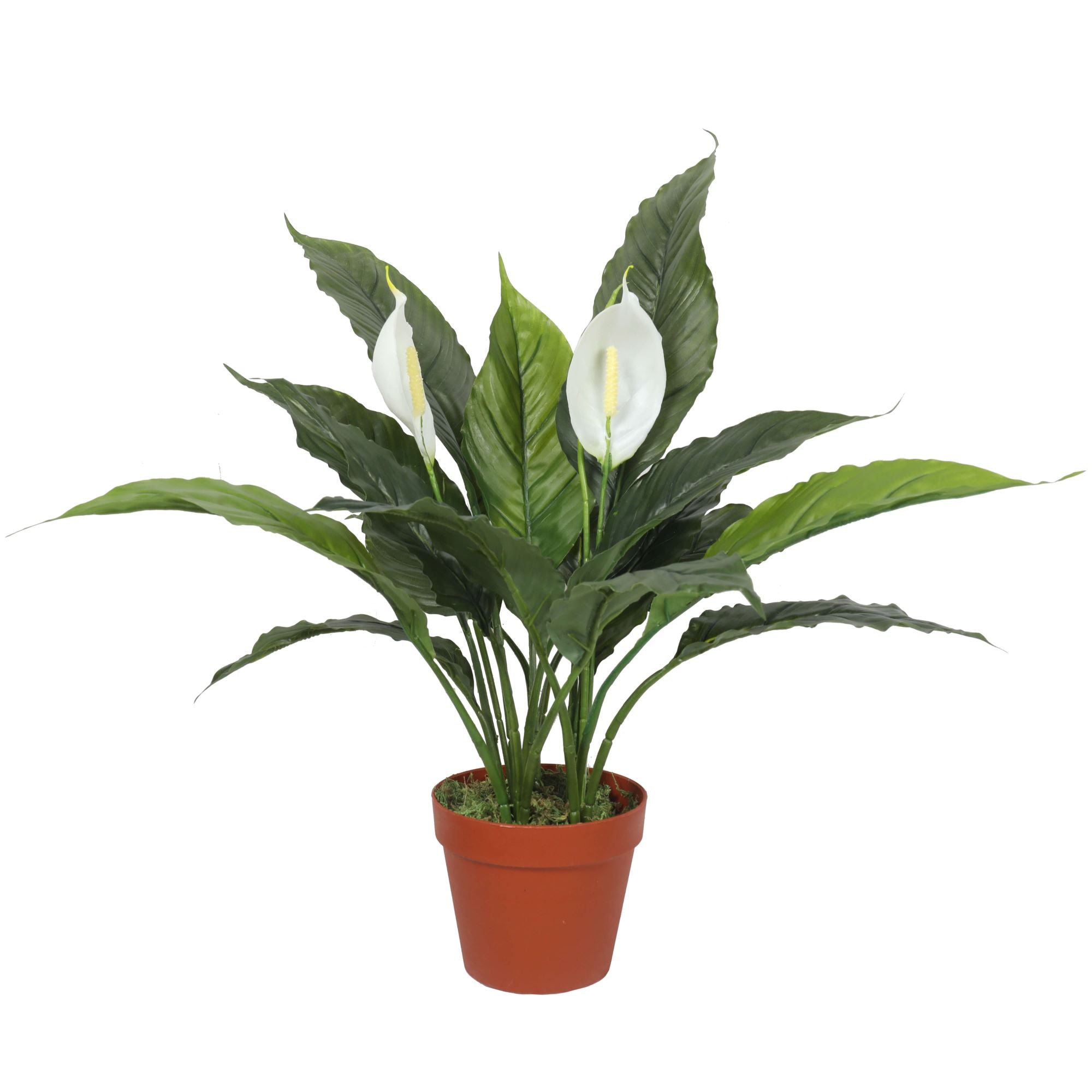 Artificial Spathiphyllum Peace Lily Plant with White Flowers 60cm Main image