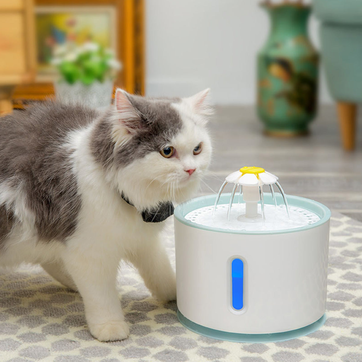 Water Fountain Replaceable Pet Water Dispenser