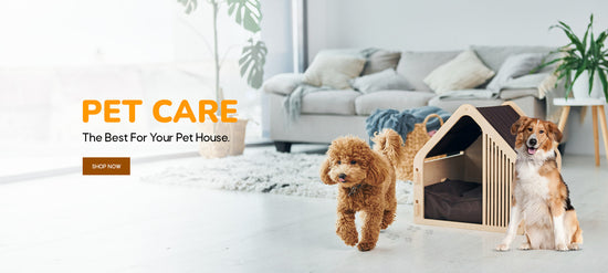 Pet care banner