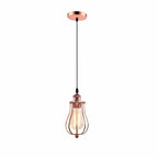 Ceiling Rose Balloon Cage Hanging Pendant Lamp Holder Light Fitting