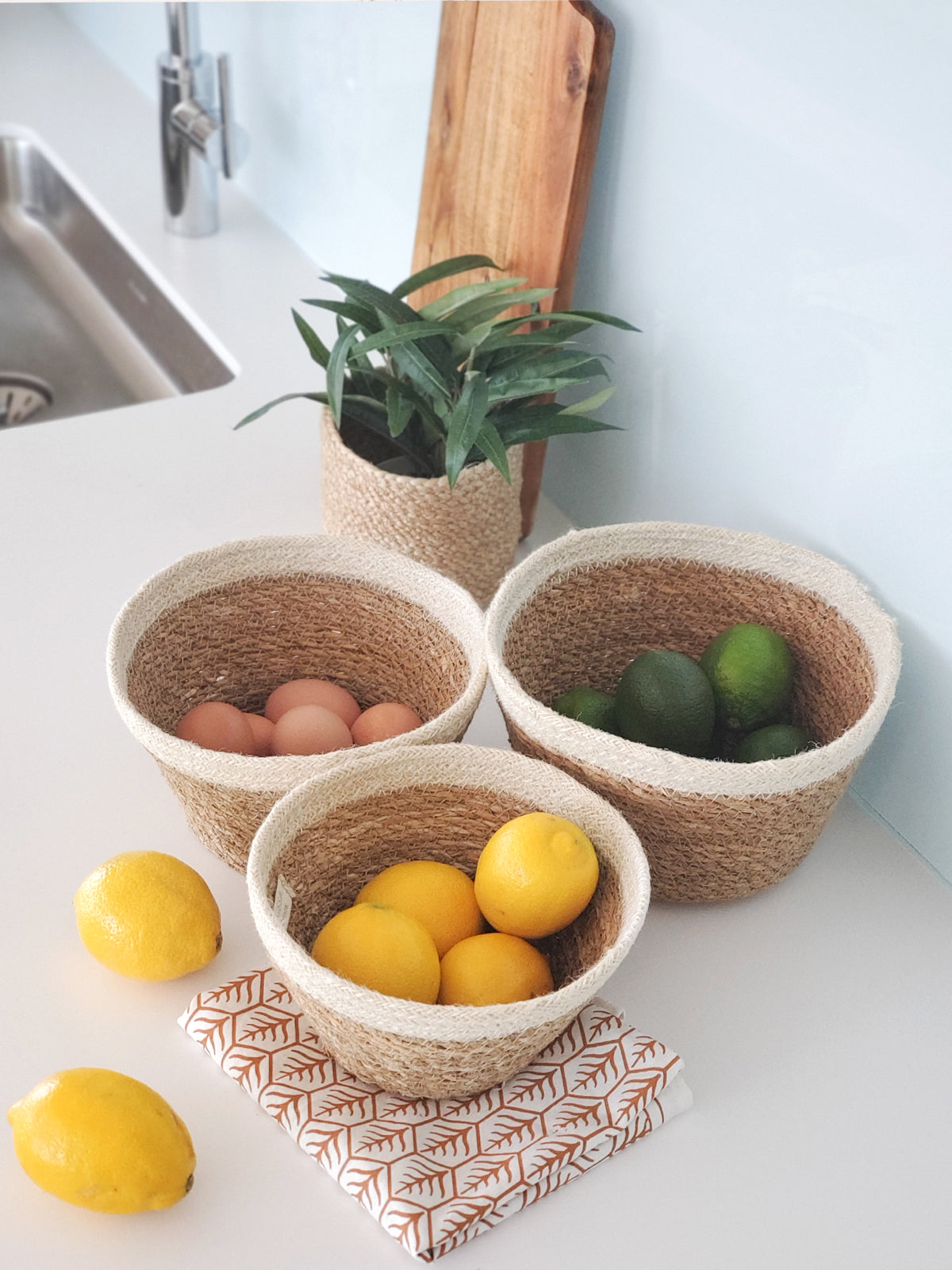 Savar Plant Bowl (Set of 3) Secondary image