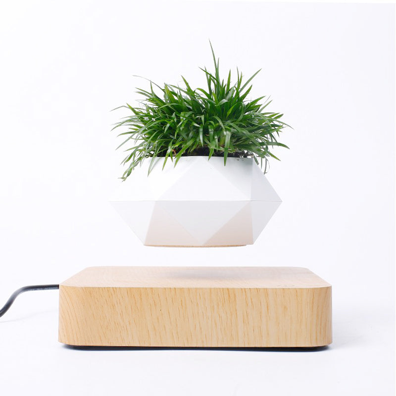 Novelty Levitating Rotation Flowerpot Magnetic Levitation FlowerPot Main image