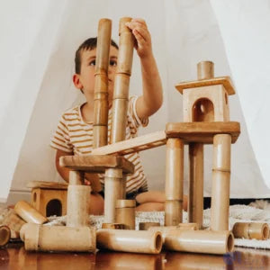 QToys Australia (USA) Bamboo Building Set with Houses Main image