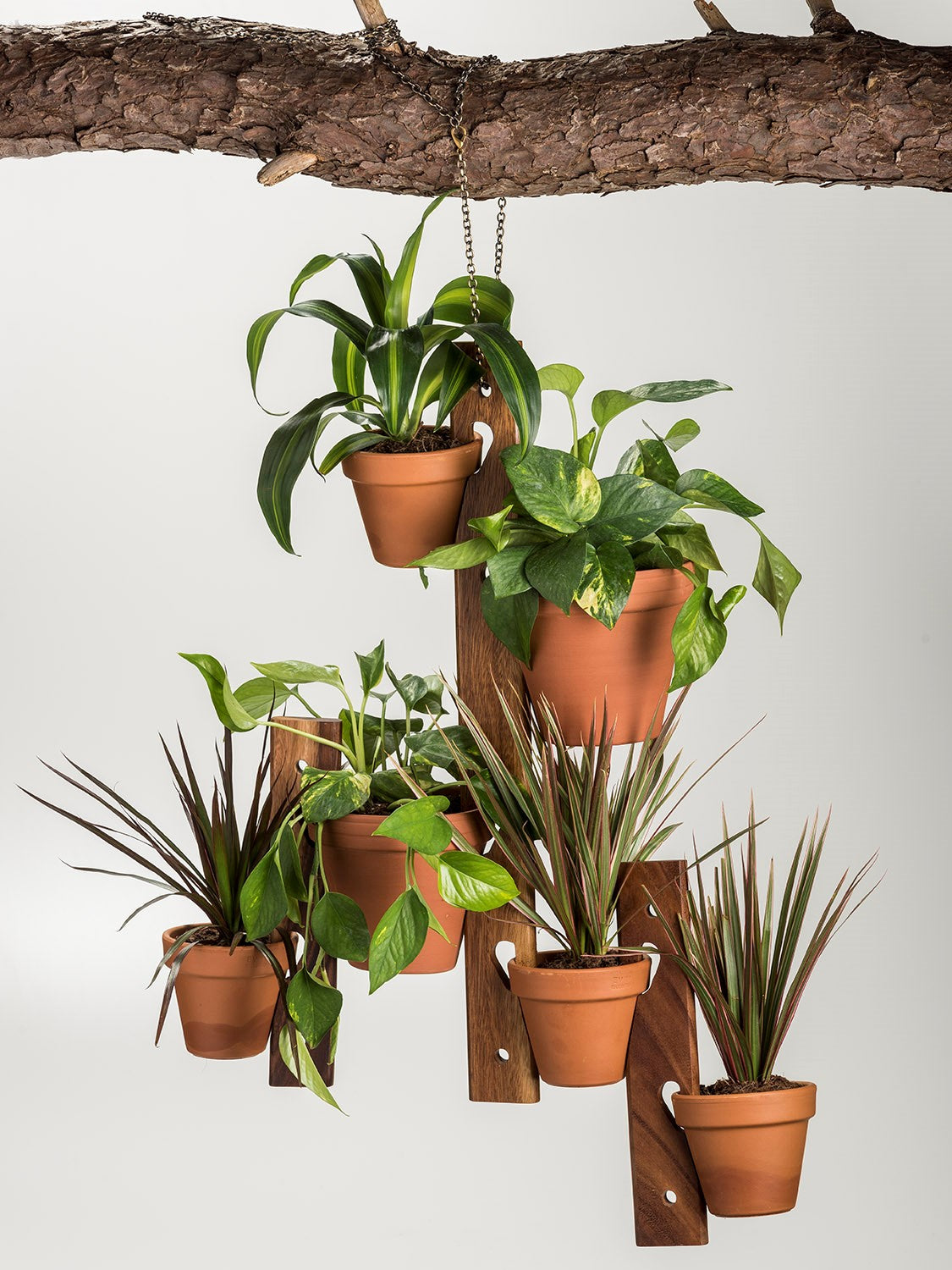 6 Pot Hanging Plant Holder - 3 piece set Main image