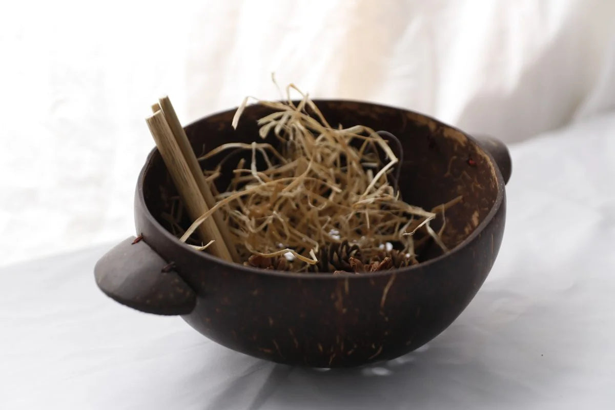 QToys Australia (USA) Coconut Colander