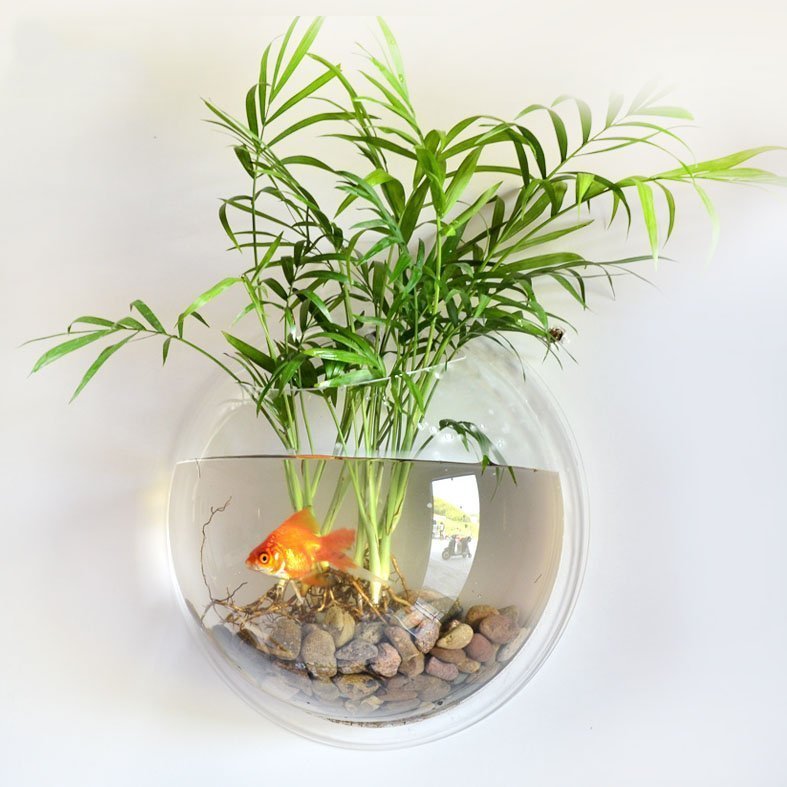 Wall Mounted Fish Bowl