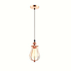 Ceiling Rose Balloon Cage Hanging Pendant Lamp Holder Light Fitting