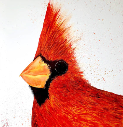 Big Red Cardinal : Art Prints