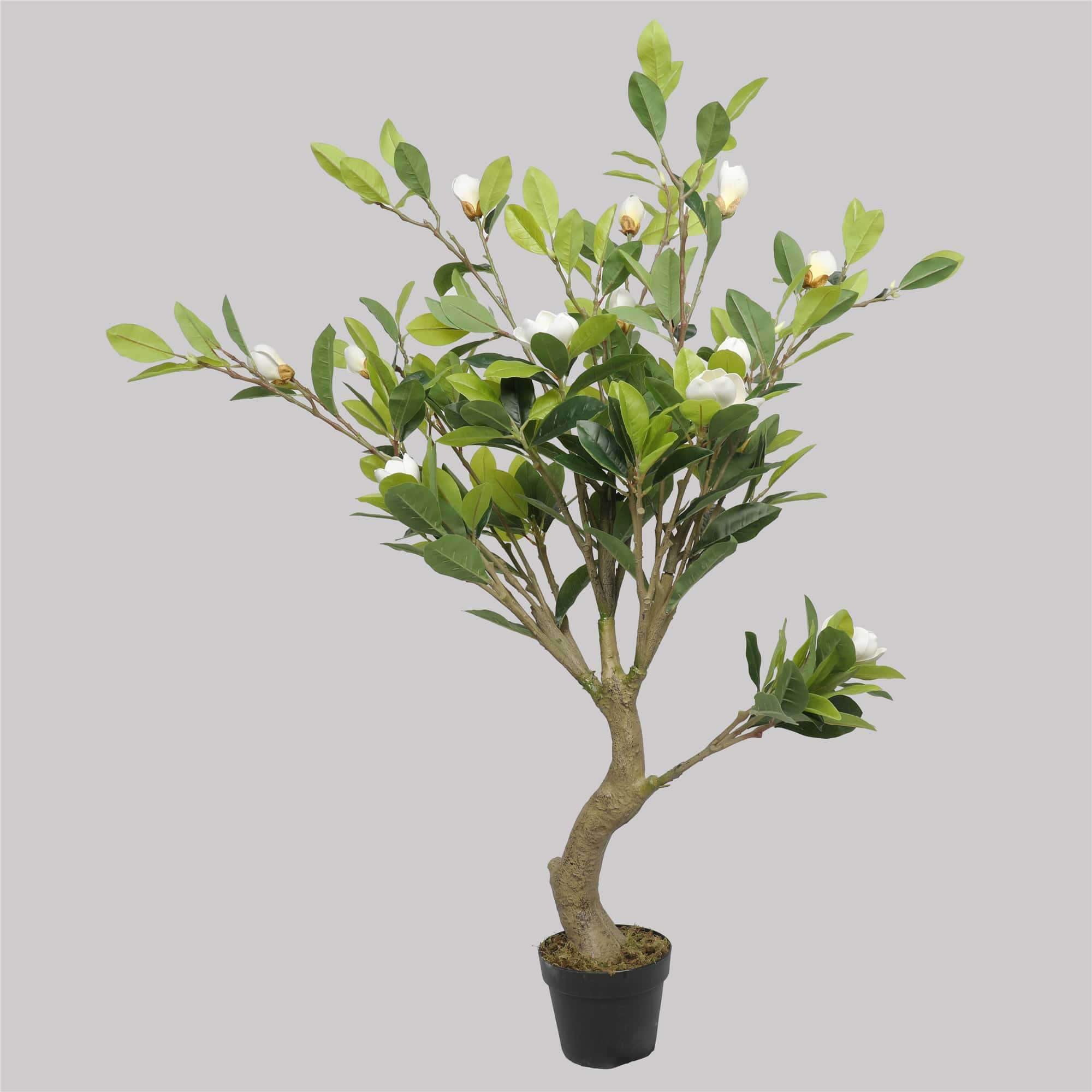 Faux Potted Magnolia Tree with Stunning White Flowers 130cm Main image