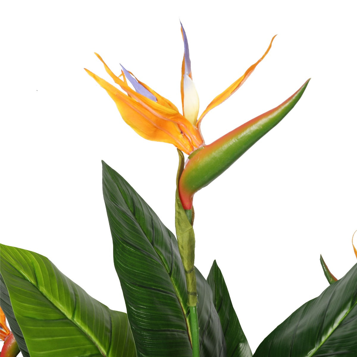 Artificial Potted 150cm Bird of Paradise Plant Secondary image