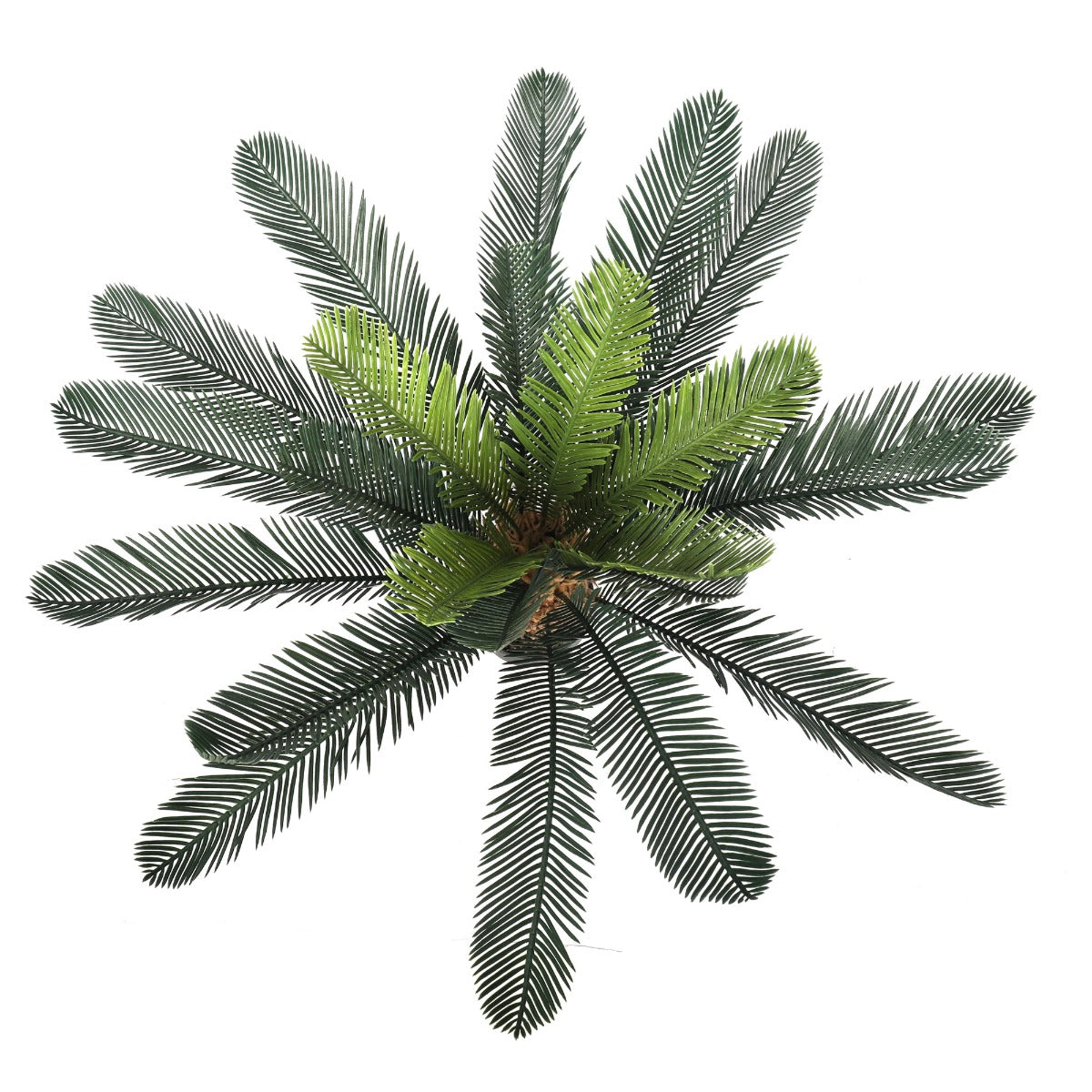 Artificial Cyac (Cycad) Plant 60cm Secondary image