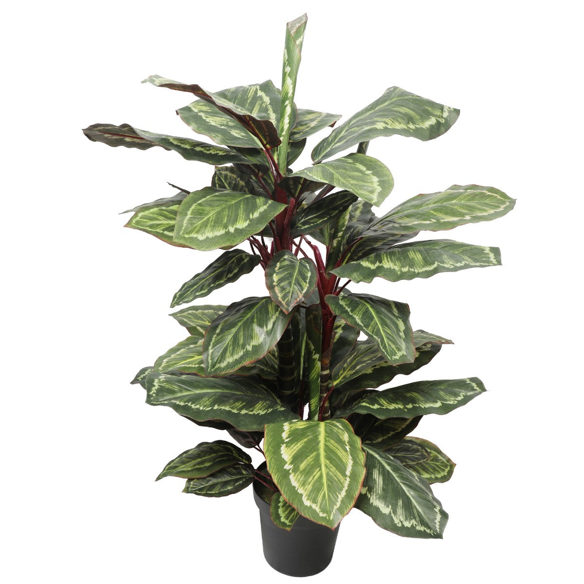 Artificial Wide Leaf Cordyline Plant 90cm Main image