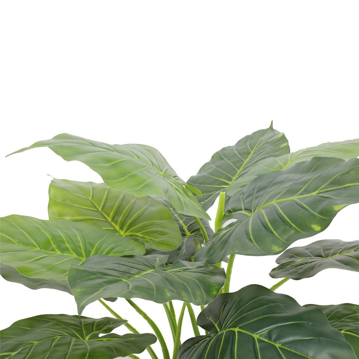 Artificial Potted Taro Plant / Elephant Ear 70cm Secondary image
