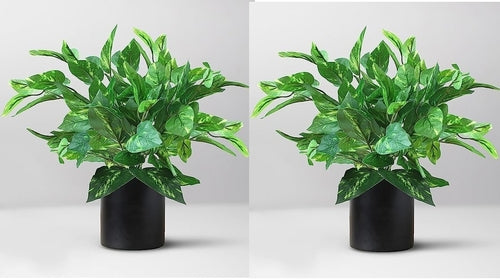 Artificial Money Plant with superiour Quality Plastic Pot,for Indoor Secondary image