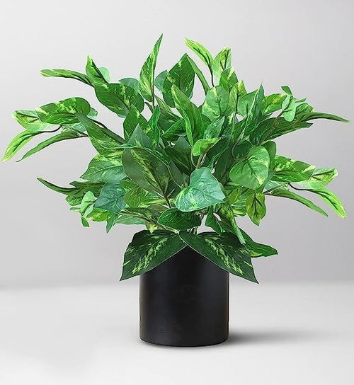 Artificial Money Plant with superiour Quality Plastic Pot,for Indoor Secondary image