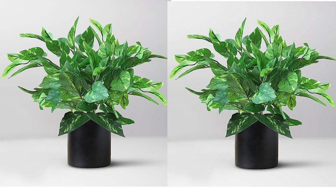 Artificial Money Plant with superiour Quality Plastic Pot,for Indoor Main image