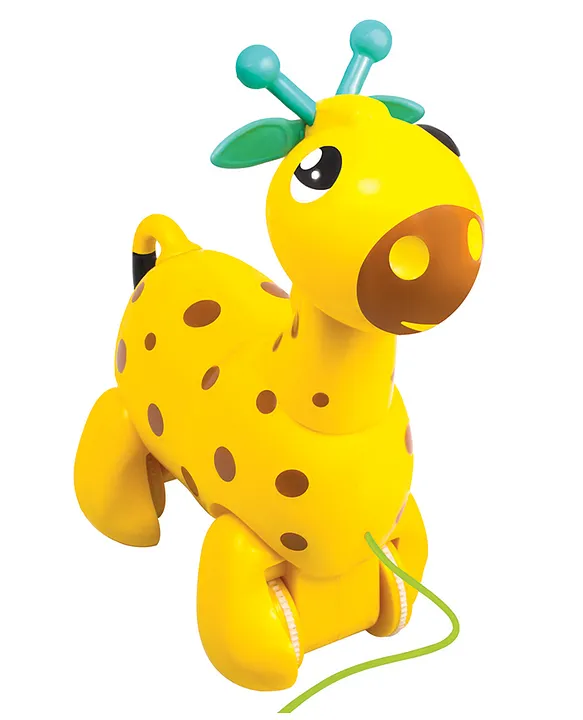 Nico The Giraffe