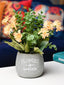 Yellow & Green Artificial Flower with Pot - Cylindrical Shape