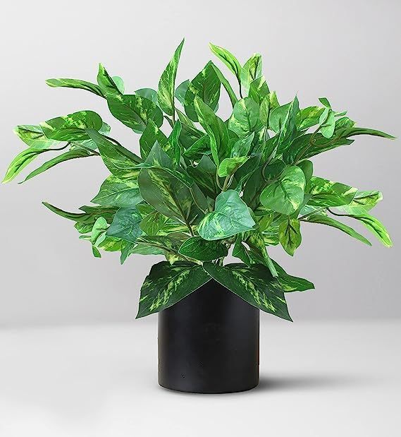 Artificial Money Plant with superiour Quality Plastic Pot,for Indoor Main image