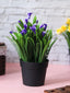 PURPLE Artificial Leaves Flower With Pot