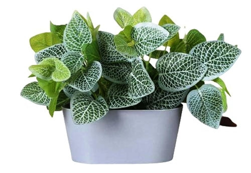 Artificial Fitunia Plant in Tray for Home Decor (SIZE-20x20cm) Secondary image