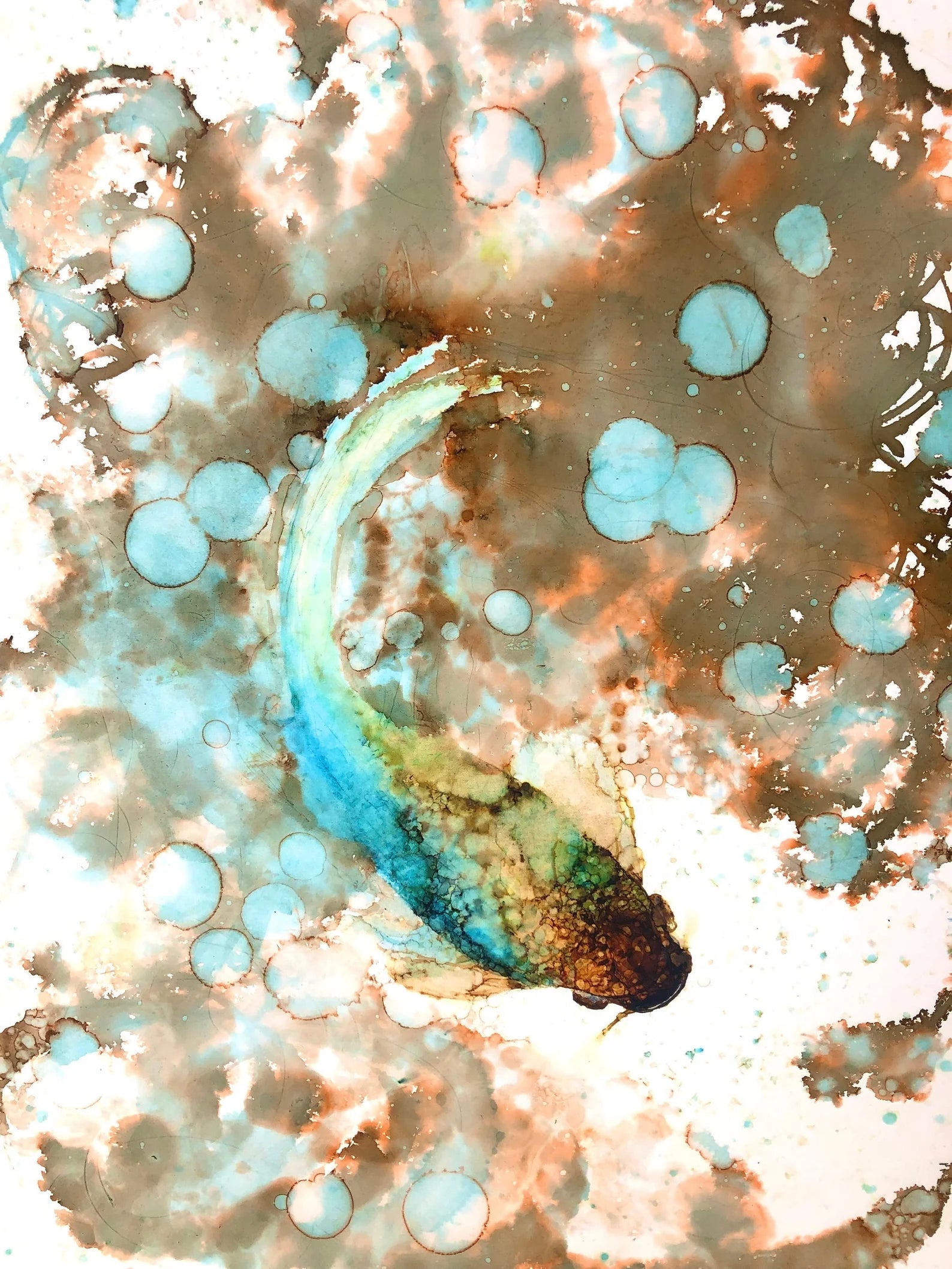 Koi Fish Main image