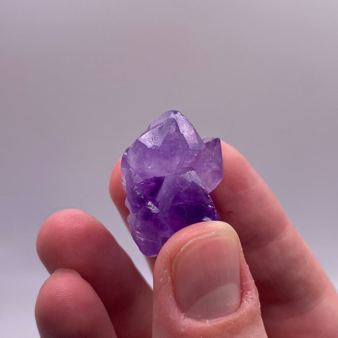 Amethyst Mini Clusters (L)