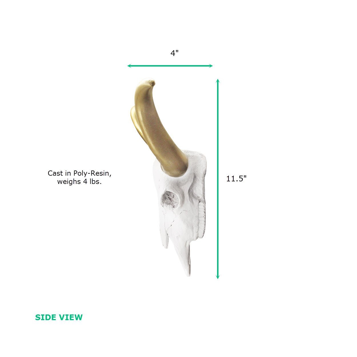 White + Gold Mini Faux Longhorn Skull, 20"