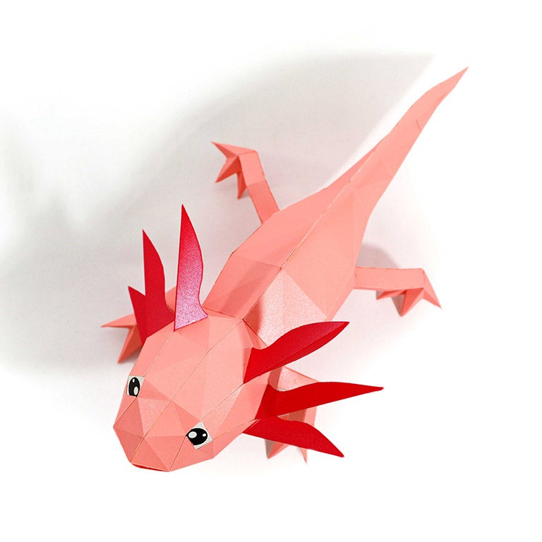 Axolotl Papercraft 3D Model