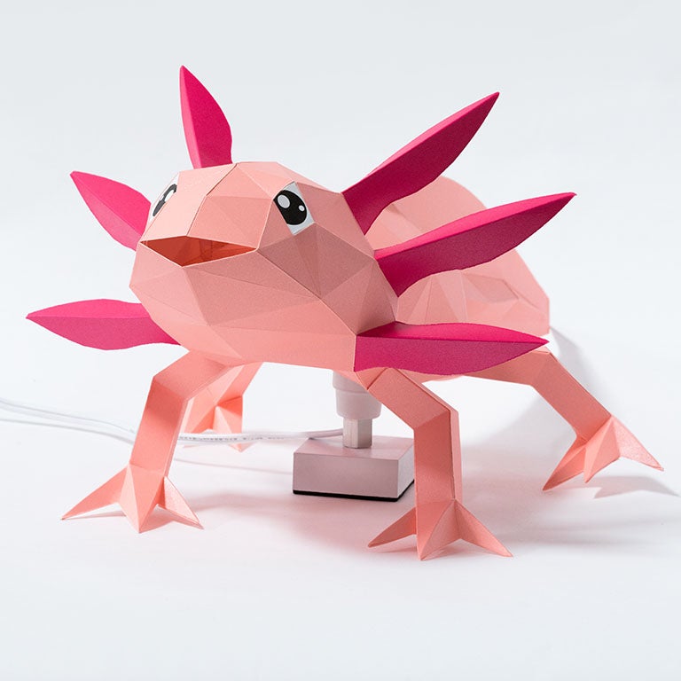 Axolotl Papercraft 3D Model Secondary image
