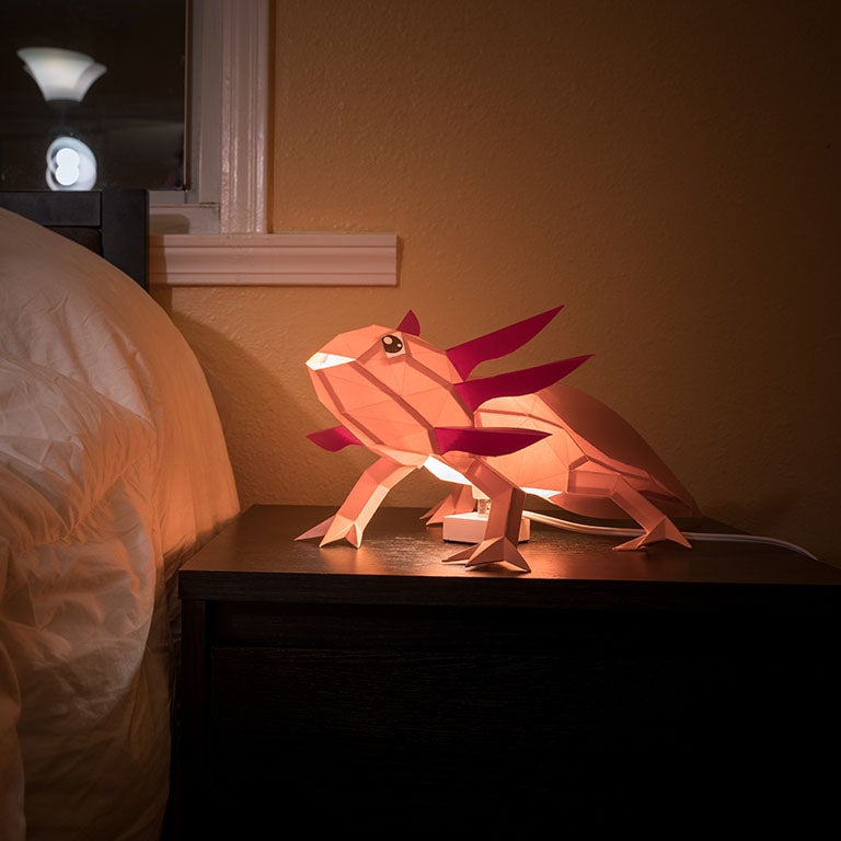 Axolotl Papercraft 3D Model Main image