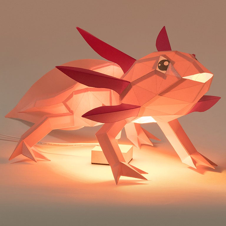 Axolotl Papercraft 3D Model