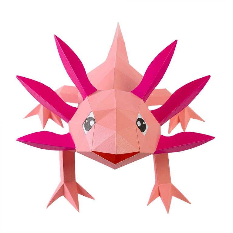 Axolotl Papercraft 3D Model