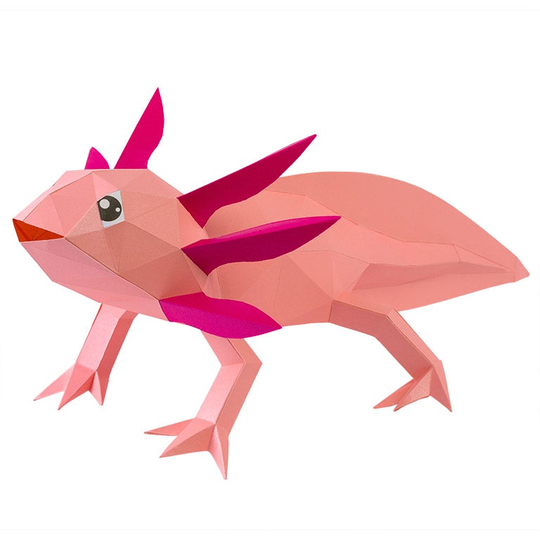 Axolotl Papercraft 3D Model