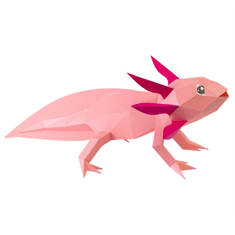 Axolotl Papercraft 3D Model